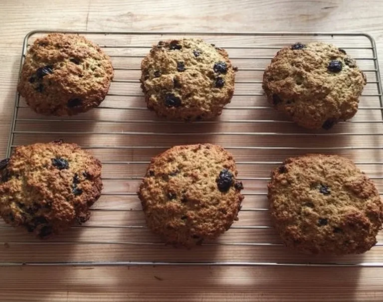 Bariatric Breakfast Cookie