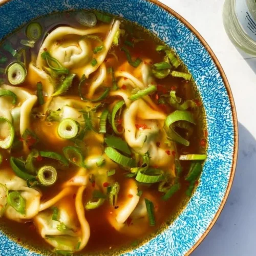 Bowl of hearty Japanese gyoza soup with dumplings and vegetables