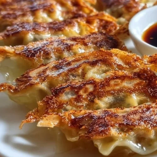 Delicious homemade Japanese gyoza filled with chicken and ginger