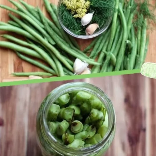 Jar of homemade dilly beans, dill pickled green beans, on a wooden table