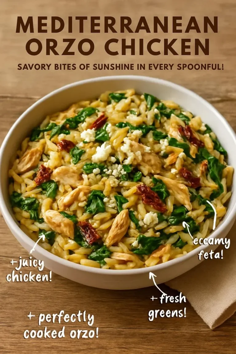 Mediterranean Orzo Chicken