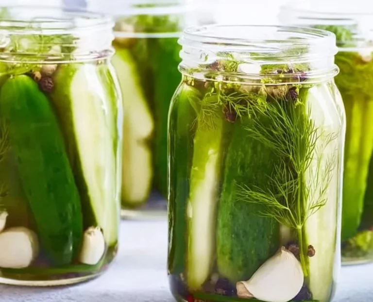 Overnight Refrigerator Dill Pickles