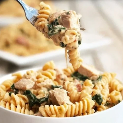 Variety of Instant Pot recipes ready for easy cooking and meal prep