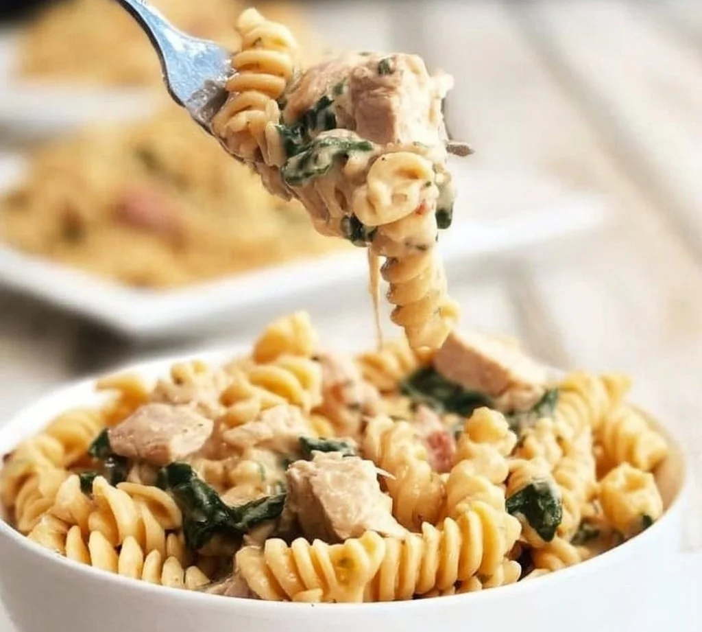 Variety of Instant Pot recipes ready for easy cooking and meal prep