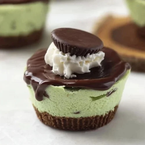 Delicious Keto Thin Mint Cheesecakes on a plate with mint garnish